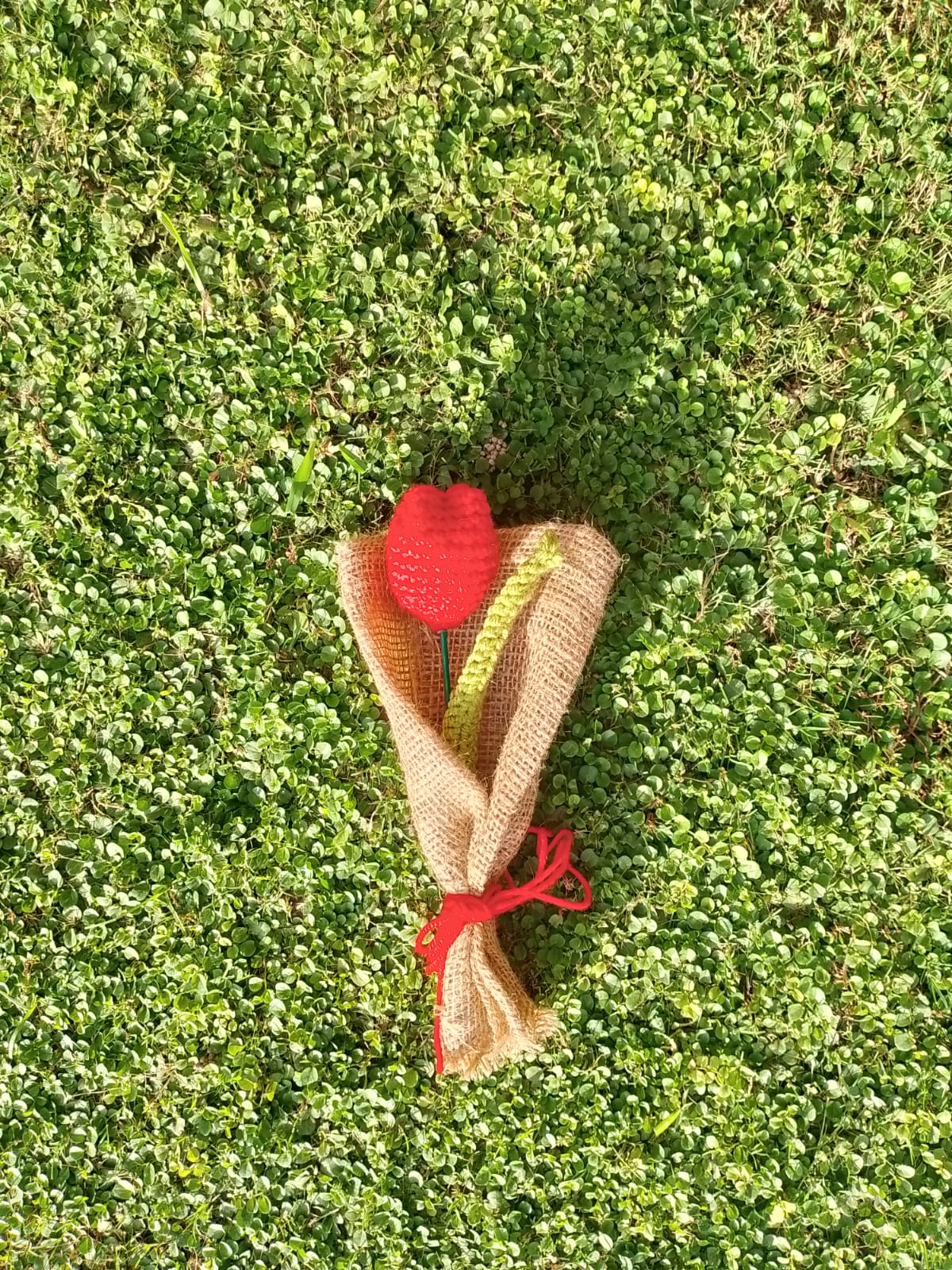 Hand Made Croshet Tulip