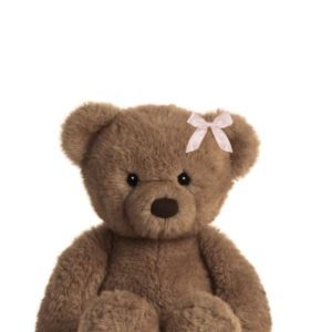 Mini Teddy Bear