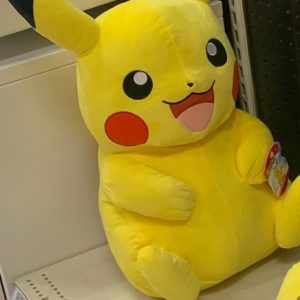 Pokemon Plush Toy