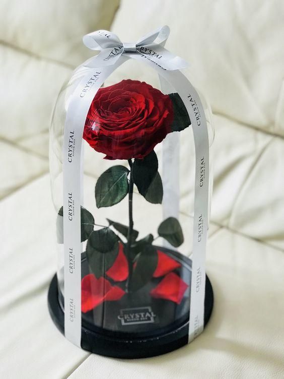 Bouquet Dome - Image 3