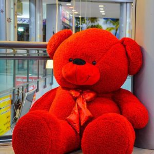 Red Teddy Bear