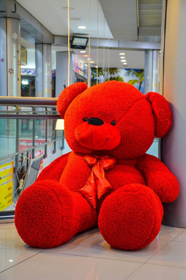 Red Teddy Bear